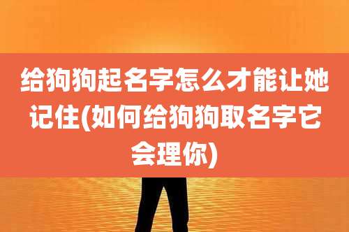 给狗狗起名字怎么才能让她记住(如何给狗狗取名字它会理你)