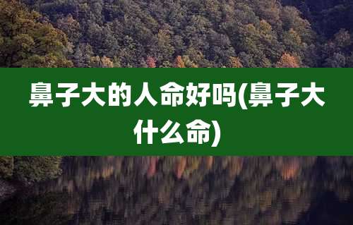 鼻子大的人命好吗(鼻子大什么命)