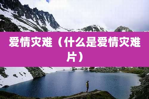 爱情灾难（什么是爱情灾难片）