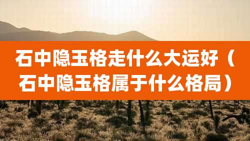 石中隐玉格走什么大运好（石中隐玉格属于什么格局）