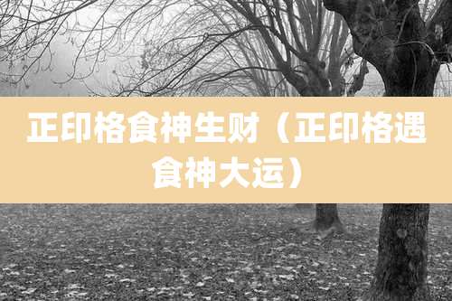 正印格食神生财（正印格遇食神大运）