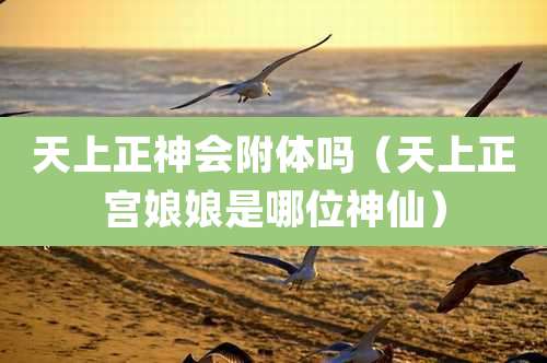 天上正神会附体吗（天上正宫娘娘是哪位神仙）