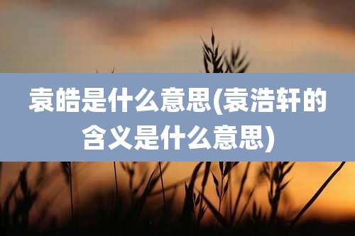 袁皓是什么意思(袁浩轩的含义是什么意思)