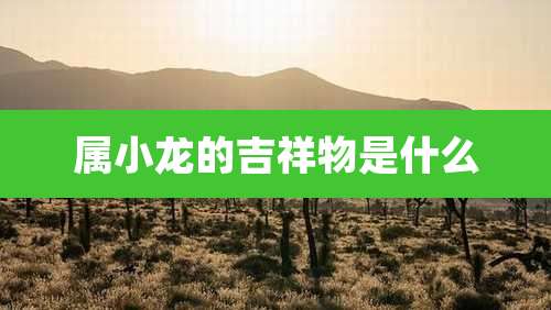 属小龙的吉祥物是什么