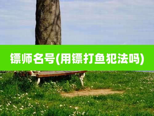 镖师名号(用镖打鱼犯法吗)