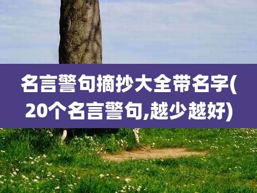 名言警句摘抄大全带名字(20个名言警句,越少越好)