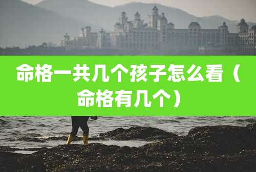 命格一共几个孩子怎么看（命格有几个）