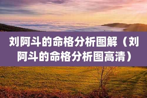 刘阿斗的命格分析图解（刘阿斗的命格分析图高清）