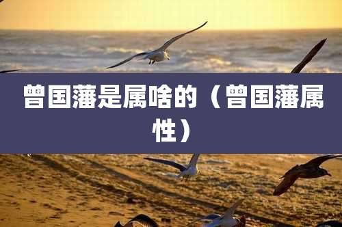 曾国藩是属啥的（曾国藩属性）