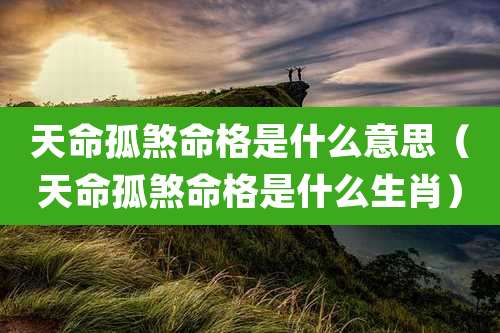 天命孤煞命格是什么意思（天命孤煞命格是什么生肖）