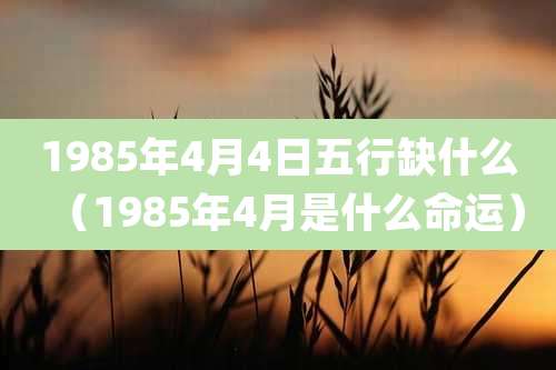 1985年4月4日五行缺什么（1985年4月是什么命运）