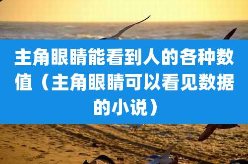 主角眼睛能看到人的各种数值（主角眼睛可以看见数据的小说）