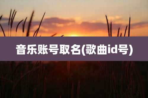 音乐账号取名(歌曲id号)