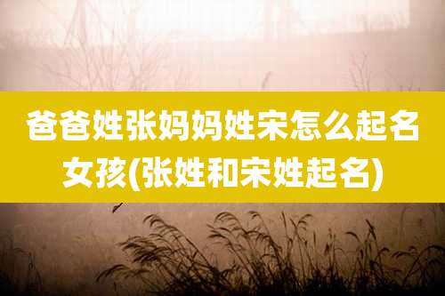 爸爸姓张妈妈姓宋怎么起名女孩(张姓和宋姓起名)