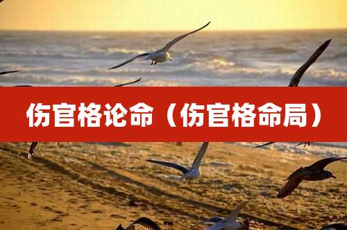 伤官格论命（伤官格命局）