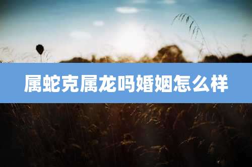 属蛇克属龙吗婚姻怎么样