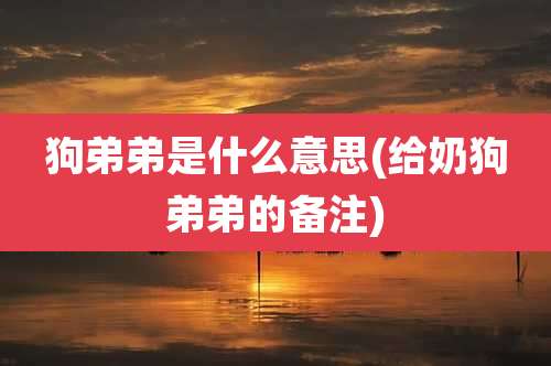 狗弟弟是什么意思(给奶狗弟弟的备注)