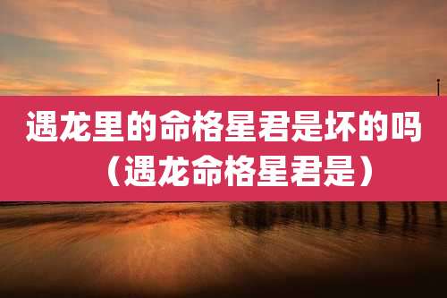 遇龙里的命格星君是坏的吗（遇龙命格星君是）