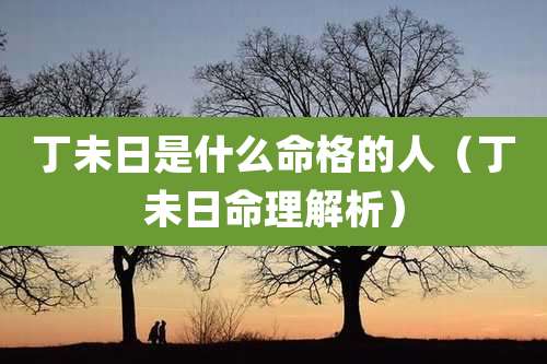丁未日是什么命格的人（丁未日命理解析）