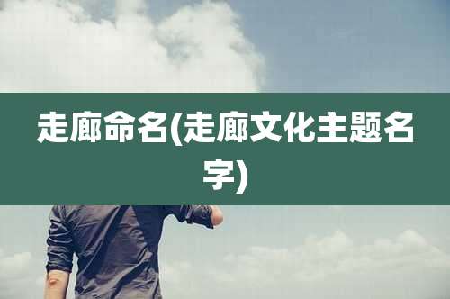 走廊命名(走廊文化主题名字)