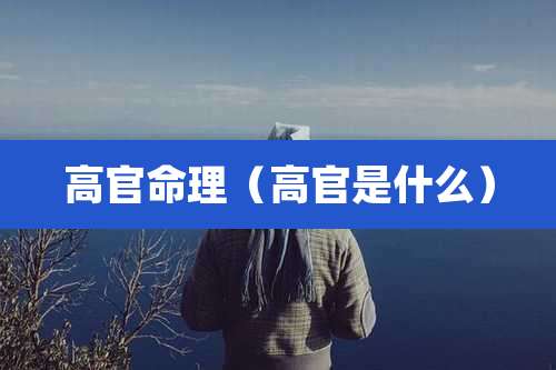 高官命理（高官是什么）