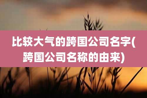 比较大气的跨国公司名字(跨国公司名称的由来)