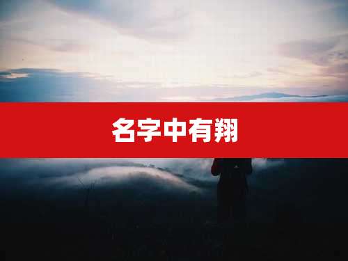 名字中有翔