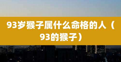 93岁猴子属什么命格的人（93的猴子）