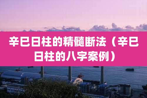 辛巳日柱的精髓断法（辛巳日柱的八字案例）