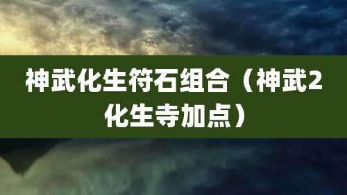 神武化生符石组合（神武2化生寺加点）