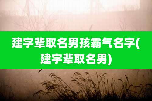 建字辈取名男孩霸气名字(建字辈取名男)