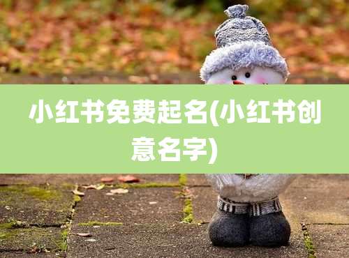 小红书免费起名(小红书创意名字)
