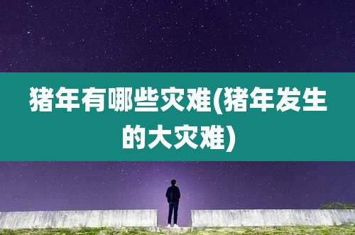 猪年有哪些灾难(猪年发生的大灾难)