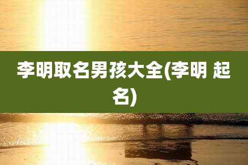 李明取名男孩大全(李明 起名)