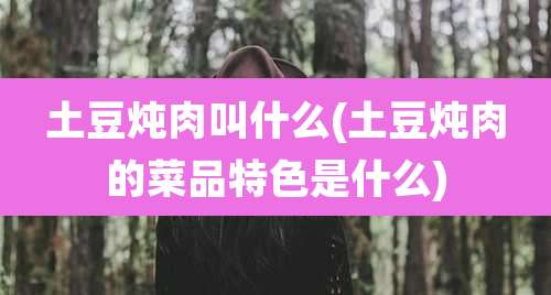 土豆炖肉叫什么(土豆炖肉的菜品特色是什么)