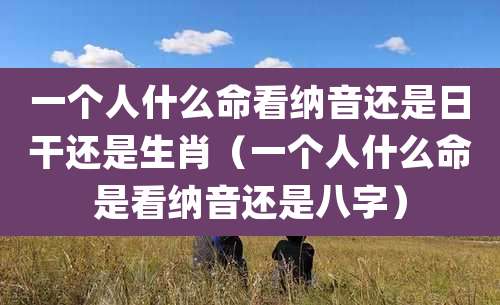 一个人什么命看纳音还是日干还是生肖（一个人什么命是看纳音还是八字）
