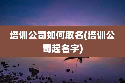 培训公司如何取名(培训公司起名字)