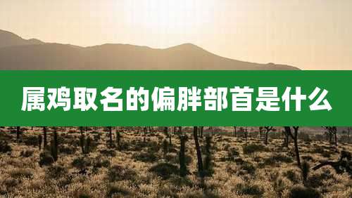 属鸡取名的偏胖部首是什么