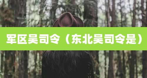 军区吴司令(东北吴司令是)