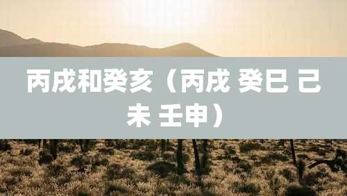 丙戌和癸亥（丙戌 癸巳 己未 壬申）