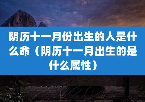 阴历十一月份出生的人是什么命(阴历十一月出生的是什么属性)