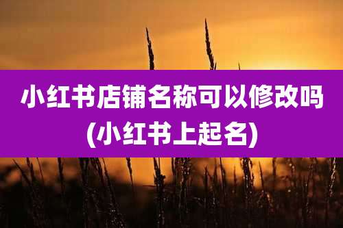 小红书店铺名称可以修改吗(小红书上起名)