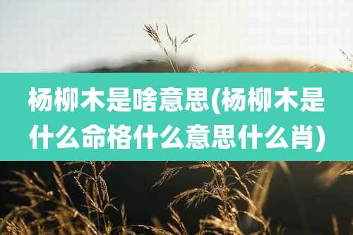 杨柳木是啥意思(杨柳木是什么命格什么意思什么肖)