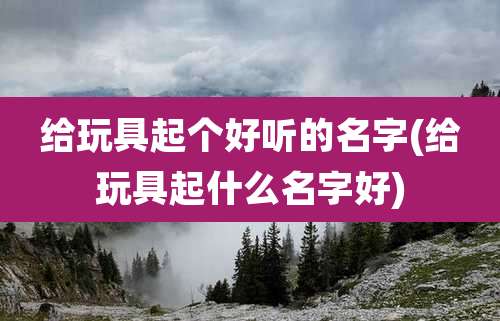 给玩具起个好听的名字(给玩具起什么名字好)