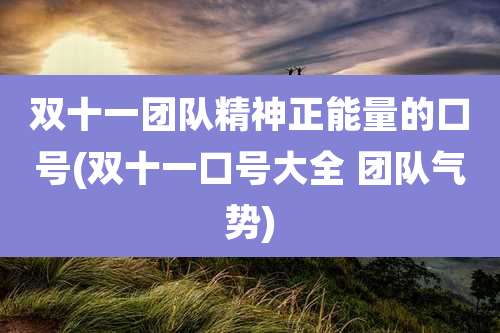 双十一团队精神正能量的口号(双十一口号大全 团队气势)