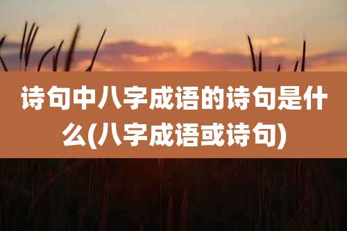 诗句中八字成语的诗句是什么(八字成语或诗句)