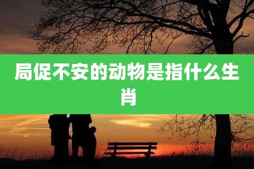 局促不安的动物是指什么生肖