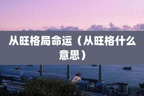 从旺格局命运（从旺格什么意思）