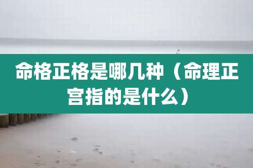 命格正格是哪几种（命理正宫指的是什么）