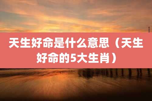 天生好命是什么意思（天生好命的5大生肖）